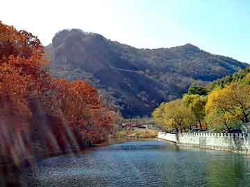 管家婆黑白马报图库，地下王朝小说